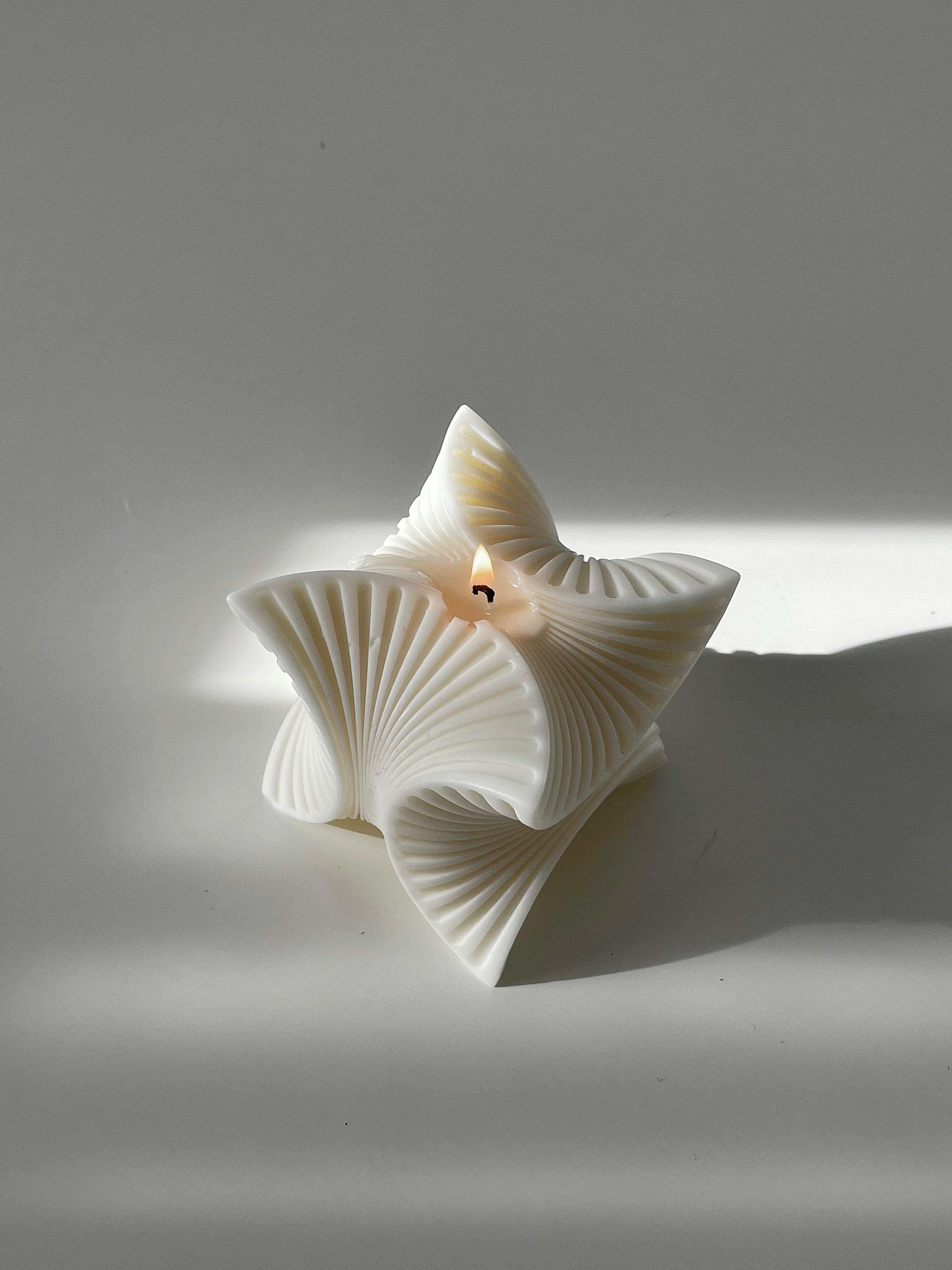 Ivy Eco Soy Candle